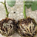 Plant Rooting Device High Pressure Propagation Ball Growing Breeding for Various Plants Indoor Gardening and Hydroponics