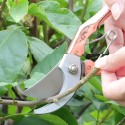 Secateurs Steel Blade Pruning Shears with Ergonomic Handles Gardening Pruning Scissors Bonsai Cutters Professional Gardening Hand Tool Scissors Kit for Plants Rose Flowers Fruit Christmass Tree