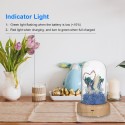 Multifunctional Flower Lamp Rechargeable BT Speaker Music Player Wishing Bottle Preserved Rose in Glass Dome Nightlight Forever Flower Desk Lamp New Year Valentine Mother's Day Birthday Gift for Family Friends Schoolmates