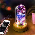 Multifunctional Flower Lamp Rechargeable BT Speaker Music Player Wishing Bottle Preserved Rose in Glass Dome Nightlight Forever Flower Desk Lamp New Year Valentine Mother's Day Birthday Gift for Family Friends Schoolmates