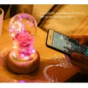 Multifunctional Flower Lamp Rechargeable BT Speaker Music Player Wishing Bottle Preserved Rose in Glass Dome Nightlight Forever Flower Desk Lamp New Year Valentine Mother's Day Birthday Gift for Family Friends Schoolmates