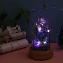 Multifunctional Flower Lamp Rechargeable BT Speaker Music Player Wishing Bottle Preserved Rose in Glass Dome Nightlight Forever Flower Desk Lamp New Year Valentine Mother's Day Birthday Gift for Family Friends Schoolmates