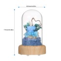 Multifunctional Flower Lamp Rechargeable BT Speaker Music Player Wishing Bottle Preserved Rose in Glass Dome Nightlight Forever Flower Desk Lamp New Year Valentine Mother's Day Birthday Gift for Family Friends Schoolmates