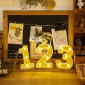 Gold Electroplated Number Lamp Warm White Constant Bright Birthday Party Indoor Decor Night Light