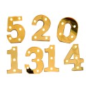 Gold Electroplated Number Lamp Warm White Constant Bright Birthday Party Indoor Decor Night Light