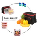 Insulated Lunch Bag Tote Box Picnic Tote with Adjustable Shoulder S-trap Leakproof & Fashionable Cooler Tote Bag for Adult & Kids