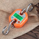 Mini Portable Electronic Crane Scale Digital Luggage Hanging Scale Fish Scale with Zero Tracking and Tare Function 150kg   Double-range Scale Digital Hanging Scale