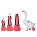 Pet Diapers for Chook Duck Chicken Reusable Chicken Diapers Washable Pet Diapers Bow Tie