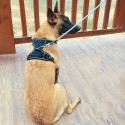 DODOPET Pet Dog Harness No Pull Pet Harness Adjustable Pet Dog Reflective Vest for Dogs