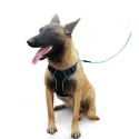 DODOPET Pet Dog Harness No Pull Pet Harness Adjustable Pet Dog Reflective Vest for Dogs