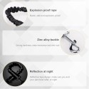 Dog Seat Belt 3-in-1 Multifunctional Pet Safety Belt Reflective Dog Car Harness with Seatbelt Buckle D-ring 360° no Tangle Buckle