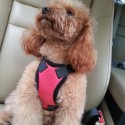 Pet Vehicle Safety Vest Adjustable Soft Padded Mesh Car S-eat Belt Leash with Travel Belt and Carabiner for Most C-ars